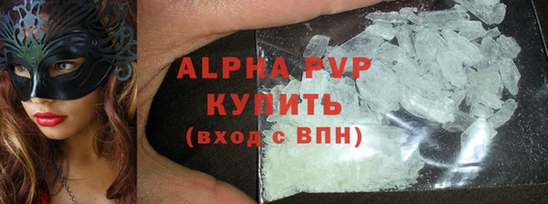 стаф Арсеньев