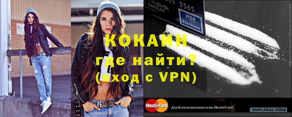 стаф Арсеньев