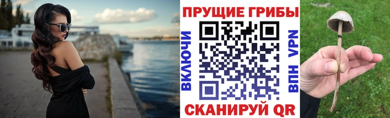дарнет шоп  Дюртюли  darknet Telegram  Псилоцибиновые грибы GOLDEN TEACHER 